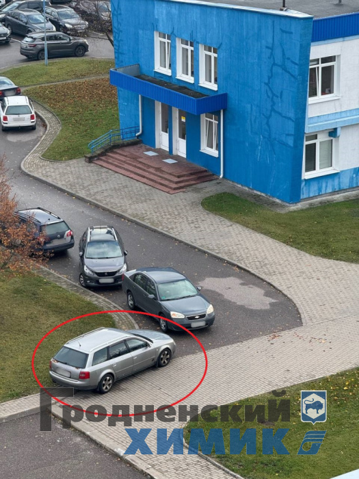 автодятел 2.jpg